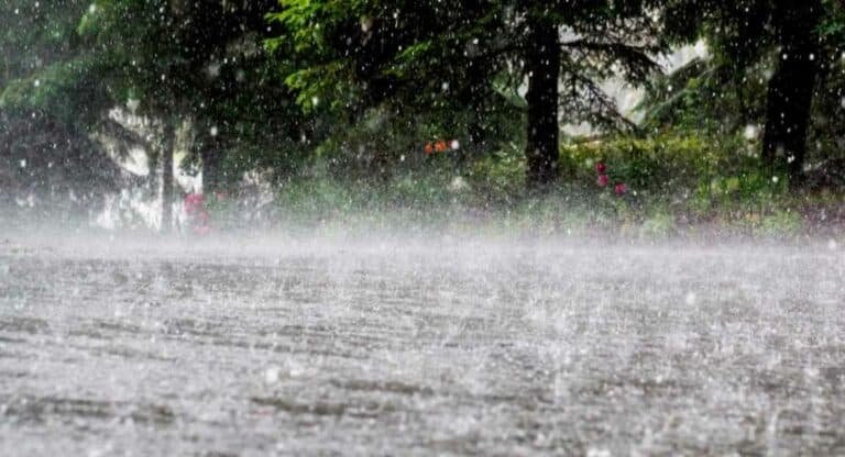 दिल्ली और आसपास के इलाकों में भारी बारिश की संभावना, देखें आईएमडी की रिपोर्ट