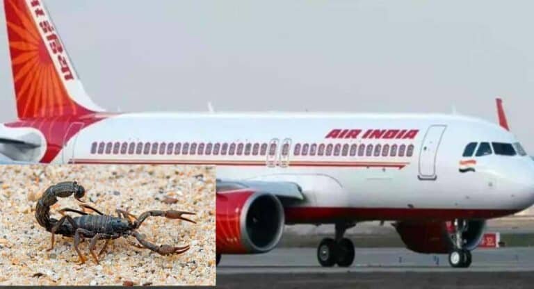 एयर इंडिया के विमान में चढ़ गया बिच्छू, यात्री का किया ये हाल
