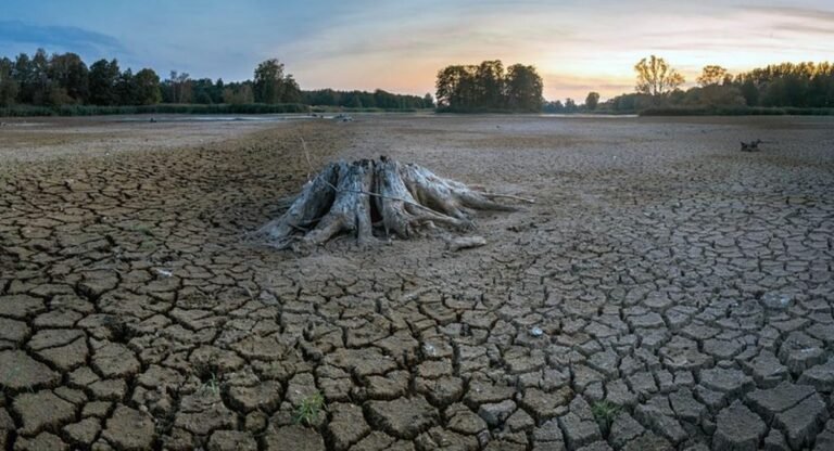 122 वर्षों बाद अगस्त में आई आफत, सूखा खेत-सूखा देश! मौसम विज्ञानियों ने बताया पर्यावरण को क्या हो गया?