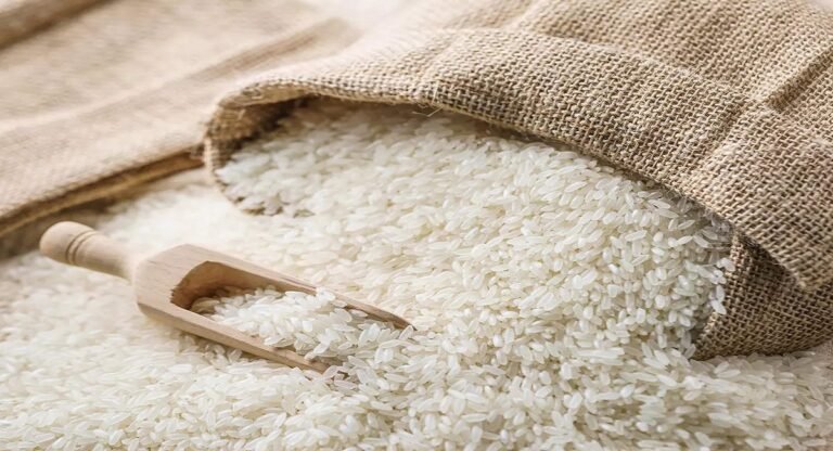 भारत संयुक्त अरब अमीरात को निर्यात करेगा चावल, प्रतिबंध के बावजूद अनाज पाने वाला चौथा देश