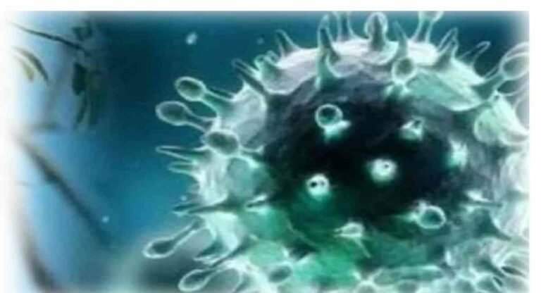 केरल में निपाह वायरस की दस्तक, स्वास्थ्य मंत्री ने जारी किया अलर्ट