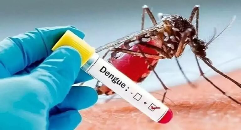 Dengue: मुरादाबाद में मिले 16 नए मरीज, जिले में अब तक पाए गए इतने डेंगू रोगी