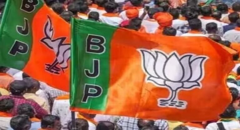 मप्र विस चुनावः भाजपा के वरिष्ठ नेता प्रदेश के विभिन्न जिलों के प्रवास पर रहेंगे