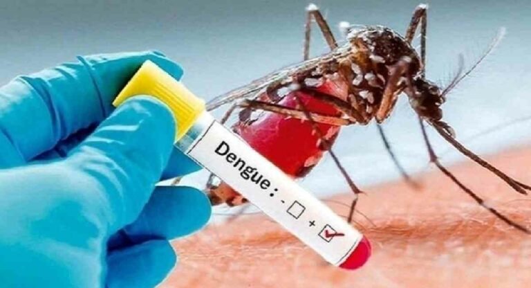 Moradabad: 18 नए मरीज डेंगू से संक्रमित, जिले में 1001 मरीज पॉजीटिव