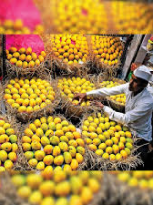 भारत का मशहूर आम, स्वाद में भी लाजवाब