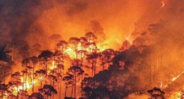 Uttarakhand Forest Fire: उत्तराखंड के जंगलों की आग बेकाबू, 24 घंटे में 40 नई घटनाएं